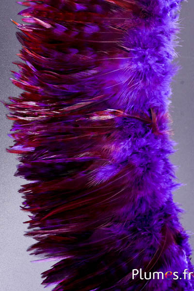 Frange coq chin roux - long. plumes 10-15 cm - violet